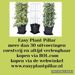 Klimsteun voor jasmijn sundaville rozen passieflora clematis, Ophalen of Verzenden, Vaste plant