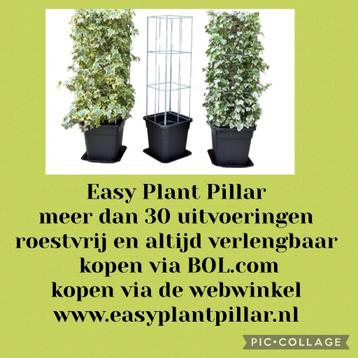 Klimsteun voor jasmijn sundaville rozen passieflora clematis, Enlèvement ou Envoi, Plante fixe