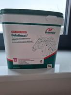 Supplementen voor paard - Primeval Gelatinaat, Animaux & Accessoires, Chevaux, Ne s'applique pas