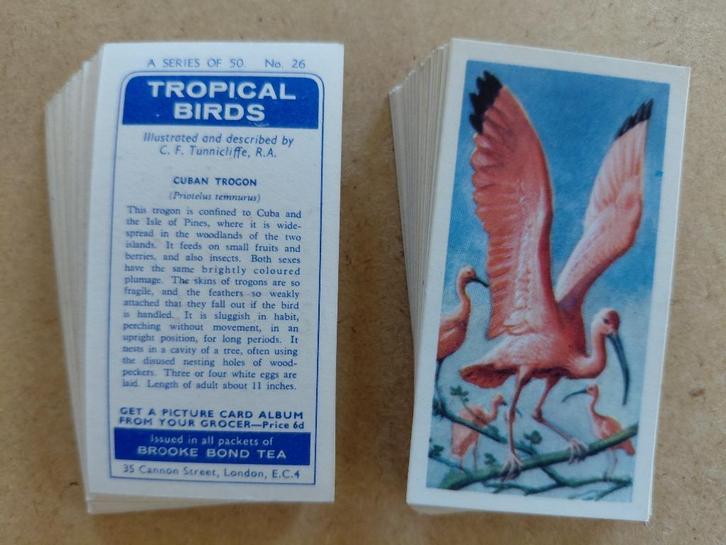 Tropical Birds complete set 50 chromos vogels 1961, Verzamelen, Foto's en Prenten, Dier, 1960 tot 1980, Ophalen of Verzenden