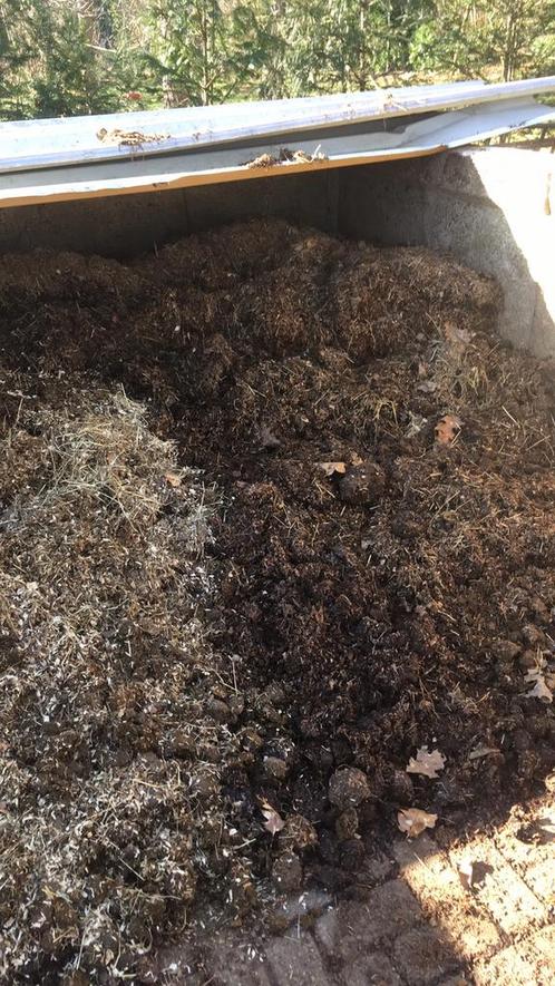 Gratis paarde mest, Tuin en Terras, Aarde en Mest, Mest, Ophalen