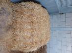 Stro, Dieren en Toebehoren, Ophalen, Vee