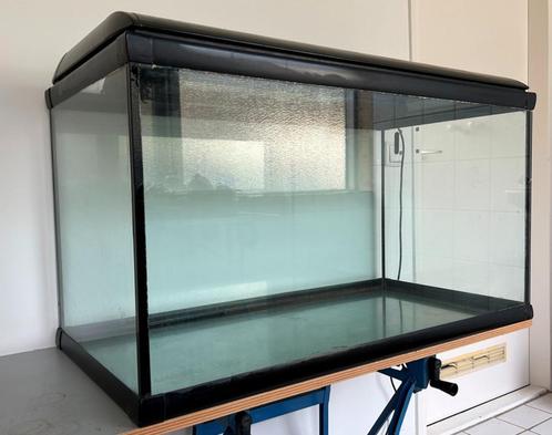 Prachtig aquarium 100x50x55 lichtkap met daglichtverlichting, Animaux & Accessoires, Poissons | Aquariums & Accessoires, Utilisé