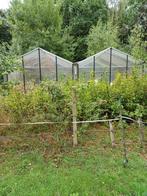 serre, Tuin en Terras, Ophalen, Gebruikt, Kweekkas, Glas