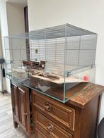 Cage pour hamsters, Comme neuf, Enlèvement ou Envoi