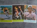 MERCKX EDDY   3 ZELDZAME stickers  UITGAVE SIXTIES RESI, Ophalen of Verzenden