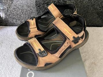 Herenschoenen Ecco beschikbaar voor biedingen