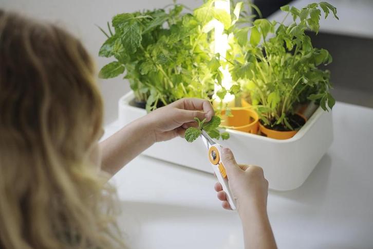 Nieuw | Fiskars Kruidentuin met LED verlichting | Op is Op., Tuin en Terras, Bloembakken en Plantenbakken, Nieuw, Kunststof, Binnen