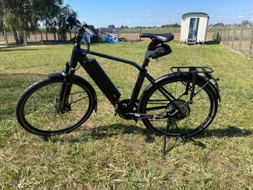 Qwic RD11 performance speed pedelec beschikbaar voor biedingen