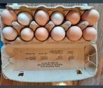 100% bio en verse eieren te koop, Comme neuf, Enlèvement ou Envoi
