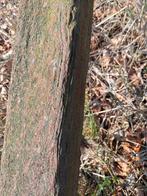 Ancienne ancre de navire, Collections, Marine, Enlèvement, Utilisé