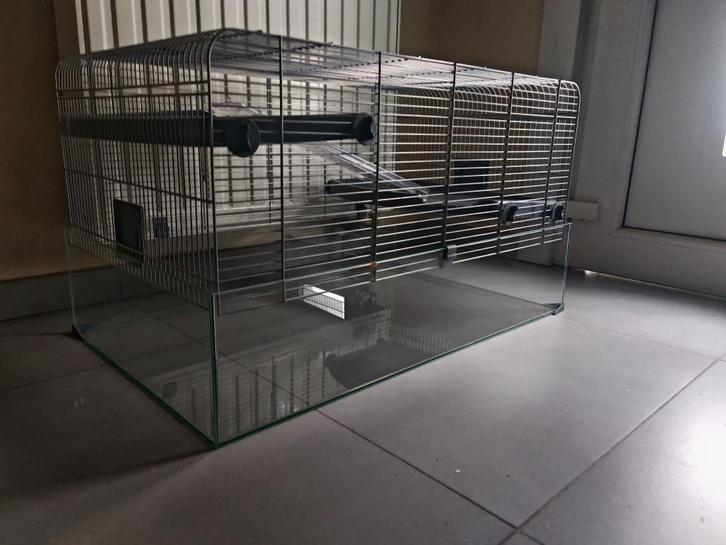 Cage, Dieren en Toebehoren, Knaagdieren en Konijnen | Hokken en Kooien, Zo goed als nieuw, Kooi, Minder dan 60 cm, 75 tot 110 cm
