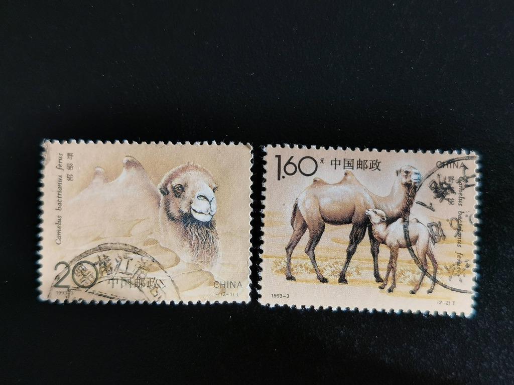 Chine 1993 - chameaux indigènes, Enlèvement ou Envoi, Affranchi, Animal et Nature