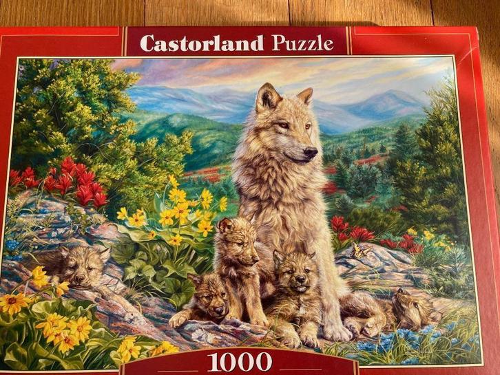 Nieuwe generatie - Castorland, Hobby en Vrije tijd, Denksport en Puzzels, Gebruikt, Legpuzzel, 500 t/m 1500 stukjes, Ophalen