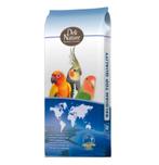 Deli Nature 70 Neophema Premium - Birdshopchristina, Oiseau, Enlèvement ou Envoi