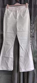 50% korting op alles/witte flared jeans TOXIK / MT 36/ nieuw, Verzenden, Wit, Toxik, Nieuw