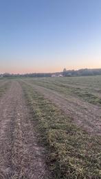 Erwtenloof, Dieren en Toebehoren