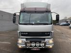 DAF Other LF55 220PK Hippotrucks voor 5 paarden + zadelkamer, Te koop, Zilver of Grijs, ABS, Stof