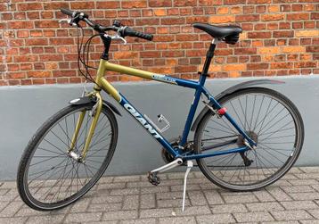 Sportieve herenfiets Giant  beschikbaar voor biedingen