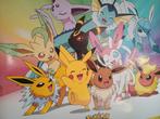 2 posters pokemon, Verzamelen, Verzenden