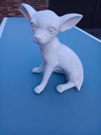 Chihuahua beeldje in polyester, Ophalen, Zo goed als nieuw