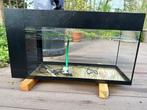 Aquarium met toebehoren, Ophalen, Gebruikt, Leeg aquarium