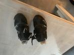 Fietsschoenen, Fietsen en Brommers, Fietsaccessoires | Fietskleding, Ophalen, Gebruikt, Schoenen, Overige maten