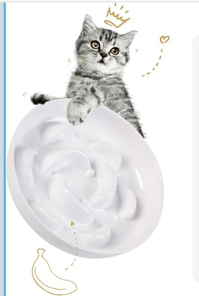 Gamelle Anti-Glouton pour Chat – Mélaminé, Animaux & Accessoires, Accessoires pour chats, Enlèvement ou Envoi