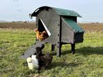 Kunststof Kippenhok - Nestera Small Op Pootjes, Dieren en Toebehoren, Pluimvee | Toebehoren, Ophalen of Verzenden, Nieuw, Kippenhok of Kippenren
