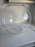 Boule en verre, Maison & Meubles, Accessoires pour la Maison | Cloches, Enlèvement