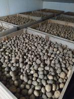 Bintje aardappelen, Zakelijke goederen, Ophalen
