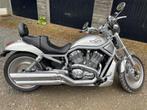 Harley Davidson VROD ANNIVERSAIRE 2003 17000km, Motos, Plus de 35 kW, Chopper, 2 cylindres, Particulier