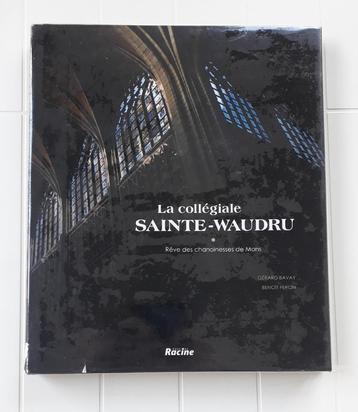 Collegiale kerk Sainte-Waudru: Droom van de kanunniken van M