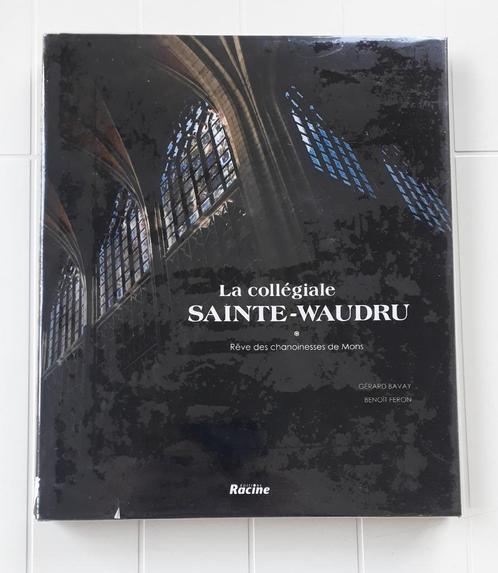 Collegiale kerk Sainte-Waudru: Droom van de kanunniken van M, Boeken, Geschiedenis | Nationaal, Zo goed als nieuw, Ophalen of Verzenden
