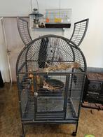 Tekoop mooi papagaai kooi, Dieren en Toebehoren, Vogels | Hokken en Kooien, Ophalen of Verzenden, Zo goed als nieuw