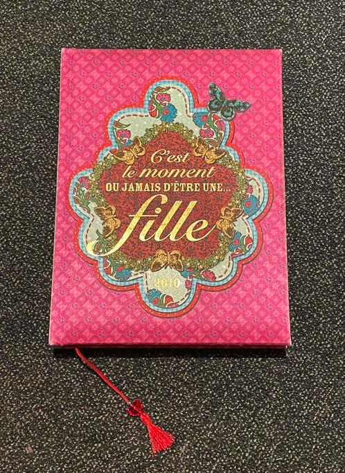 Livre c’est le moment où jamais d’être une fille, Boeken, Kinderboeken | Jeugd | 10 tot 12 jaar, Gelezen, Non-fictie