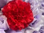 bruiloft decoratie groothandel rodebeagle kunstbloemen rood, Hobby en Vrije tijd, Nieuw, Versiering, Verzenden