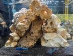 Aquarium, Dieren en Toebehoren, Ophalen