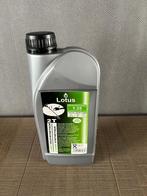 Lotus 2T, Tuin en Terras, Ophalen of Verzenden, Nieuw, Lotus