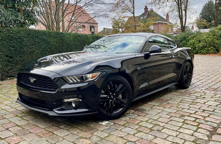 Ford Mustang 2.3 Ecoboost Automaat ### 49000 km ###, Auto's, Ford, Bedrijf, Te koop, Mustang, ABS, Achteruitrijcamera, Adaptieve lichten