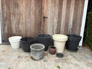 Lot bloempotten beschikbaar voor biedingen