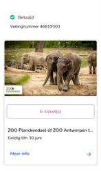 Tickets voor Planckendael €27, Tickets & Billets, Loisirs | Jardins zoologiques