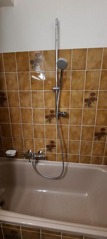 Badkraan met douchegarnituur beschikbaar voor biedingen