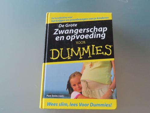 De Grote Zwangerschap en Opvoeding voor Dummies – Pam Smits, Boeken, Zwangerschap en Opvoeding, Zo goed als nieuw, Zwangerschap en Bevalling