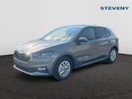 Skoda Fabia Fabia Family 1.0 TSI 70kW (95ch) 5v Man., Auto's, Skoda, Cruise Control, Handgeschakeld, Zilver of Grijs, Stadsauto