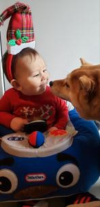 Honden voor mijn opleiding tot trimster, Boeken, Dieren en Huisdieren, Ophalen