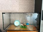 Groot terrarium met hamster/gerbil accessoires, Dieren en Toebehoren, Ophalen, Zo goed als nieuw, Hamster