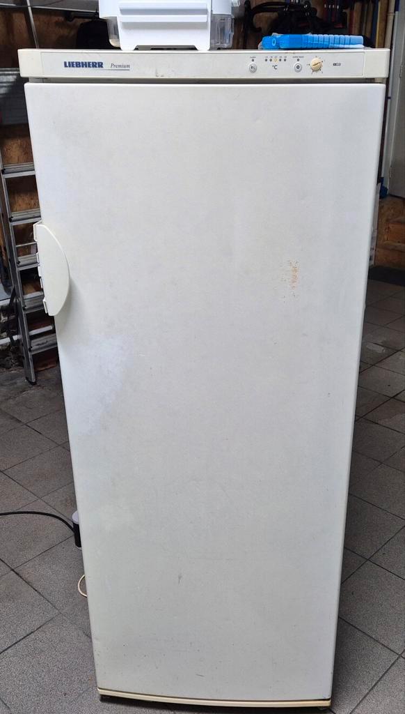 Diepvries Liebherr hoog model, Electroménager, Congélateurs, Utilisé, Enlèvement