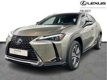 Lexus UX 300e Privilege Line 