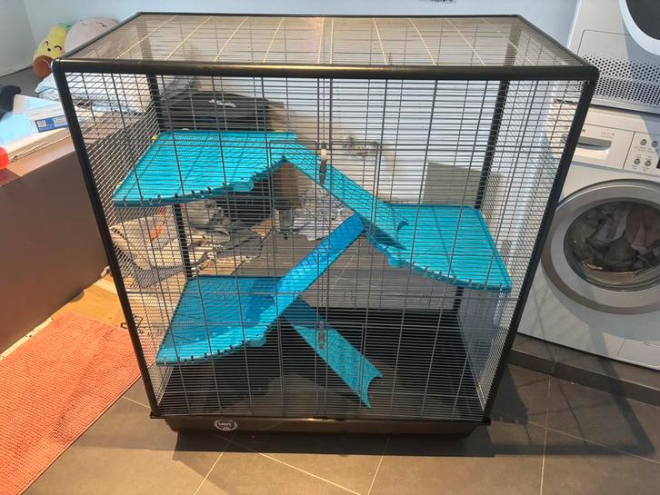 Kleine kooi voor knaagdieren (ratten/fretten..) +accessoire, Dieren en Toebehoren, Knaagdieren en Konijnen | Toebehoren, Ophalen